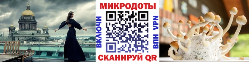 Псилоцибиновые грибы MAGIC MUSHROOMS  Феодосия 